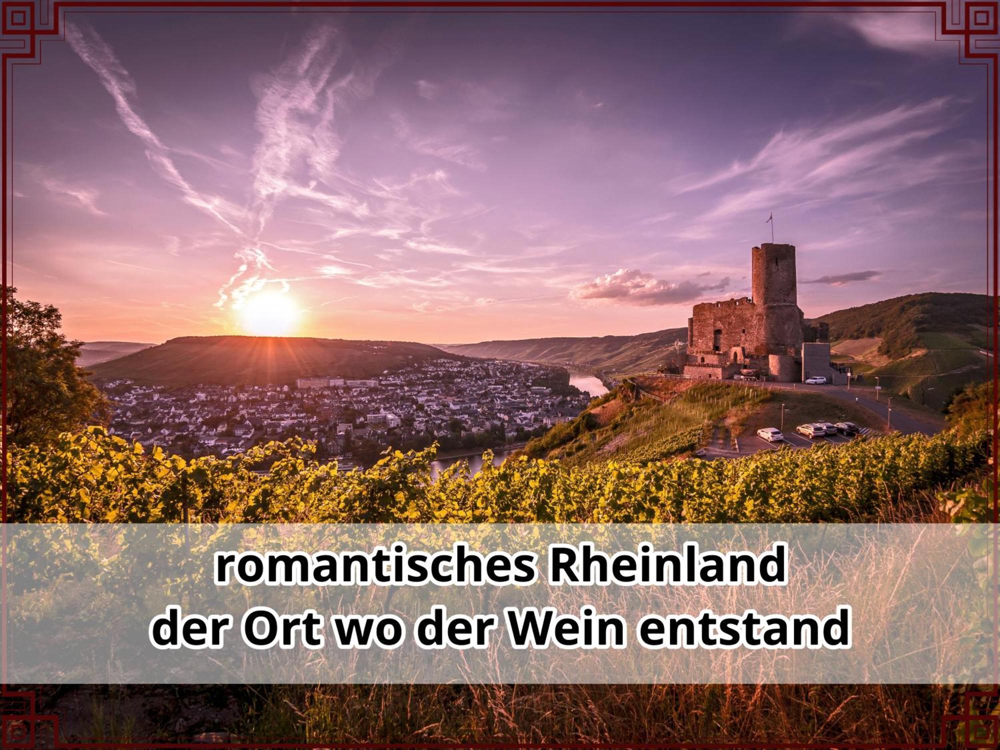 Smallsaigon Apartment Mit Guter Anbindung Zwischen Mosel Und Rhein Leiningen Екстериор снимка